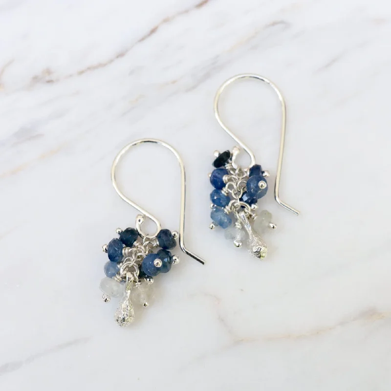 Seed Pod Cluster Earring - Sapphire